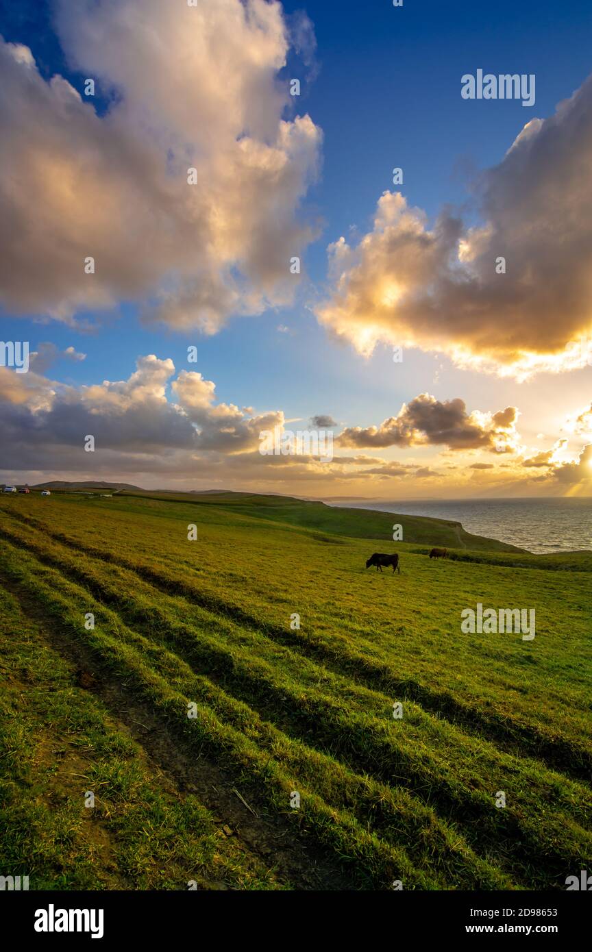 Foto panoramica di un golfo sulla costa cantabrica della Spagna circondato da natura verde e rocce. Mare in tempesta nuvolosa Foto Stock