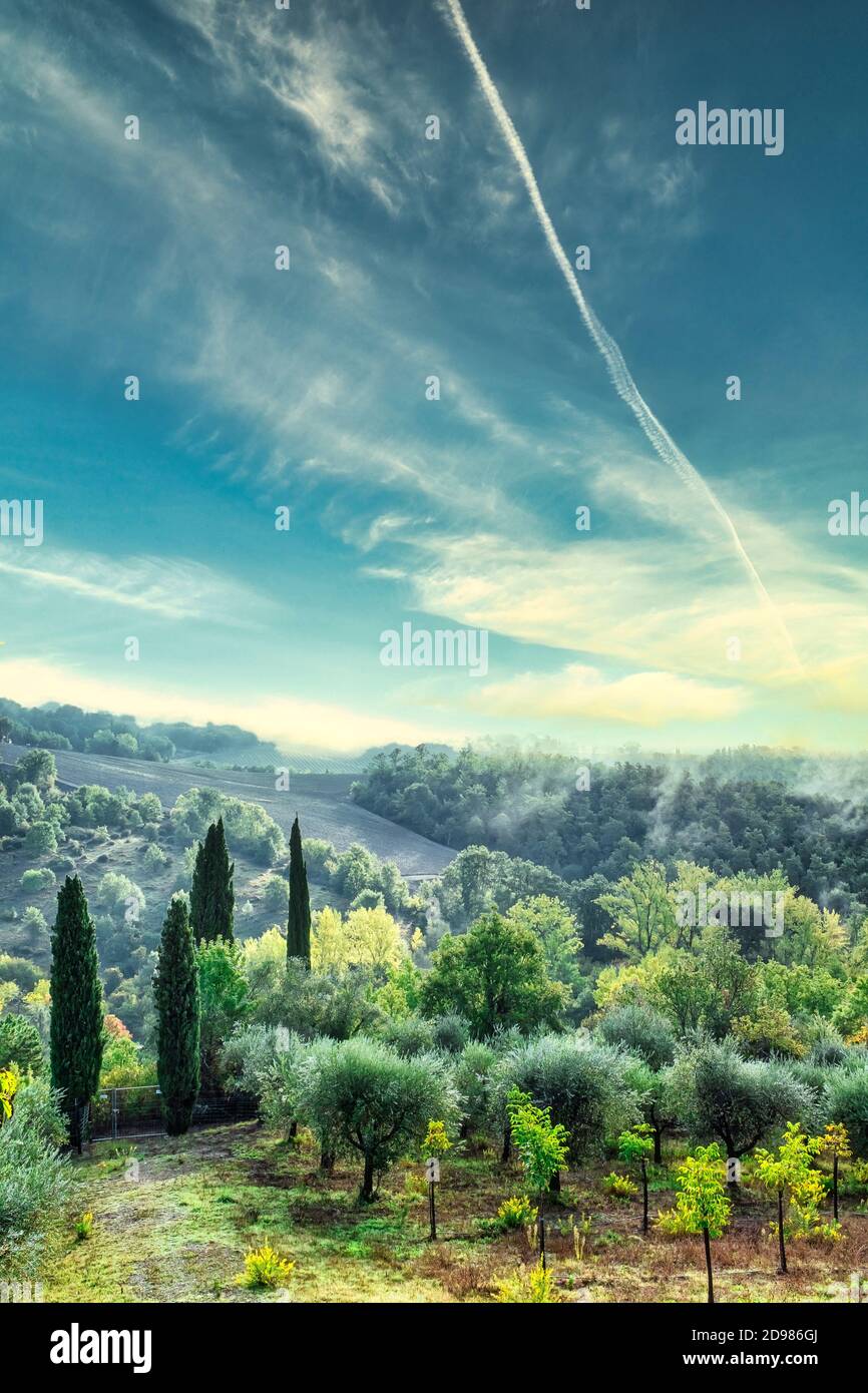 Idilliaco paesaggio estivo in Toscana Italia. Alberi verdi e cielo blu. Verticale. Foto Stock