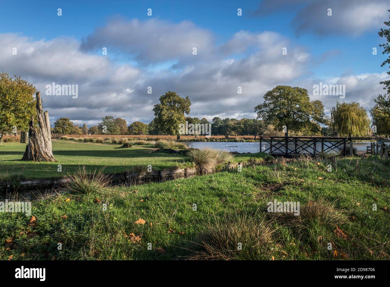 Buon percorso a piedi intorno a Bushy Park vicino a Hampton Court Surrey Foto Stock