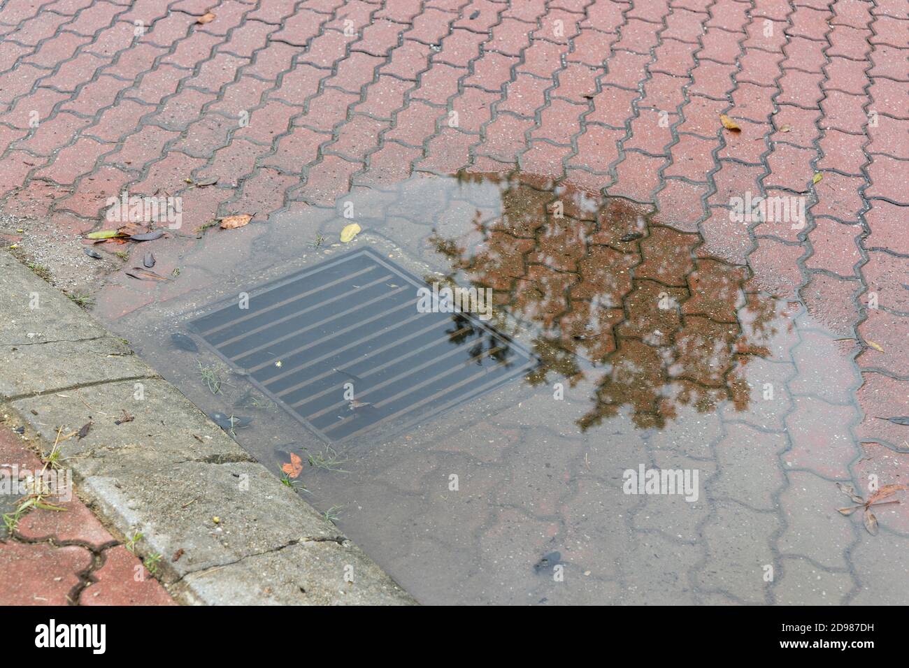 Scarico sotterraneo intasato con acqua in eccesso dopo pioggia tempesta Foto Stock