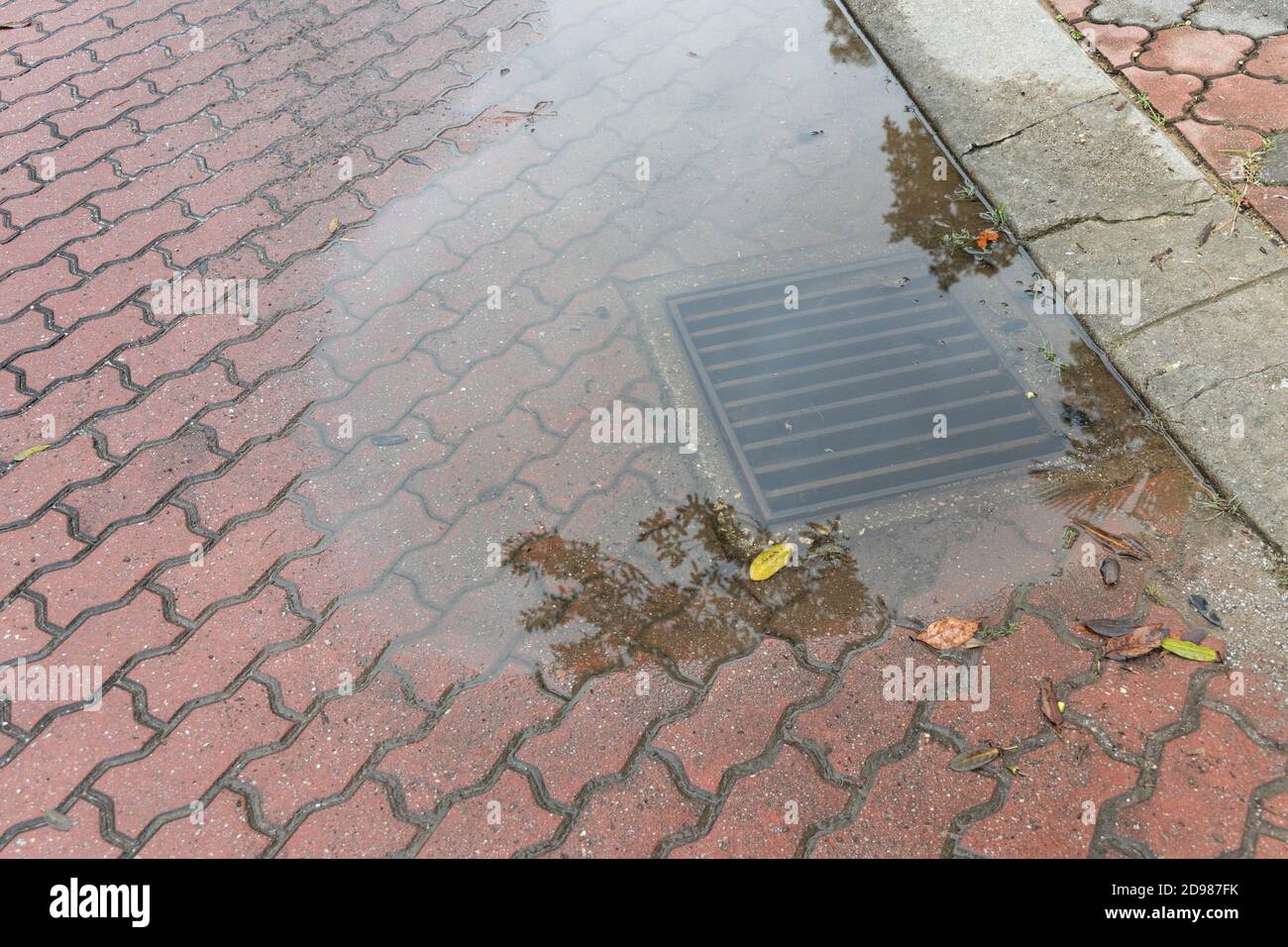 Scarico sotterraneo intasato con acqua in eccesso dopo pioggia tempesta Foto Stock