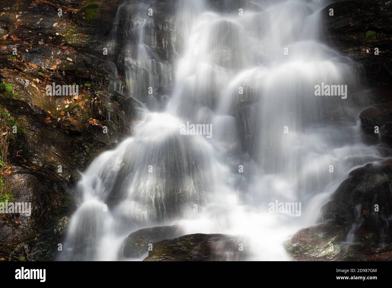 Amicalola Falls state Park, Georgia, Stati Uniti. Foto Stock