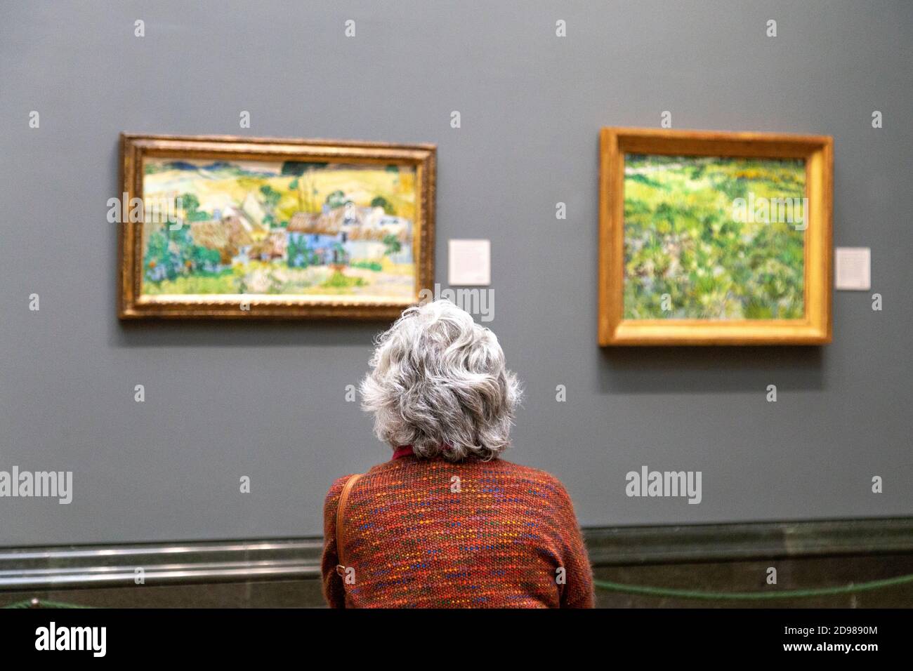 Donna anziana con capelli grigi che guarda i dipinti di Vincent van Gogh alla National Gallery, Londra, Regno Unito Foto Stock