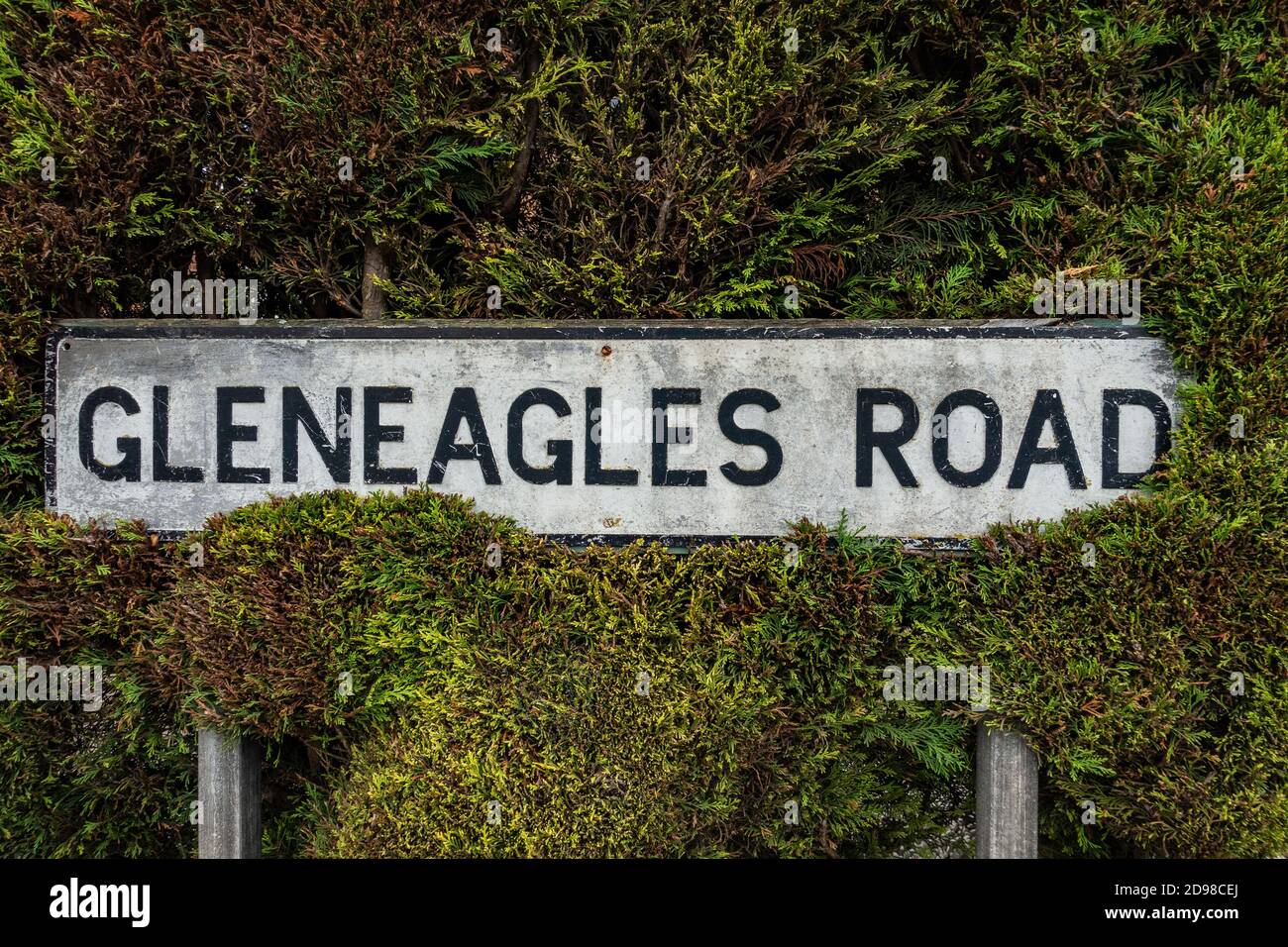 Gleneagles strada segno in metallo inghiottito da un privato siepe Foto Stock