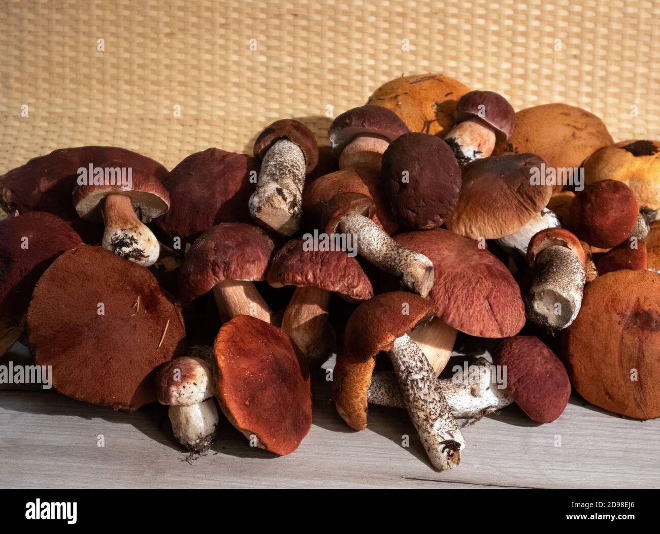 Un mucchio di nobili funghi boschivi boletus e berretto rosso il boletus che giace su una tavola di legno Foto Stock