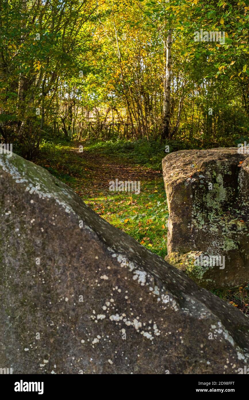 Parco di campagna locale Foto Stock