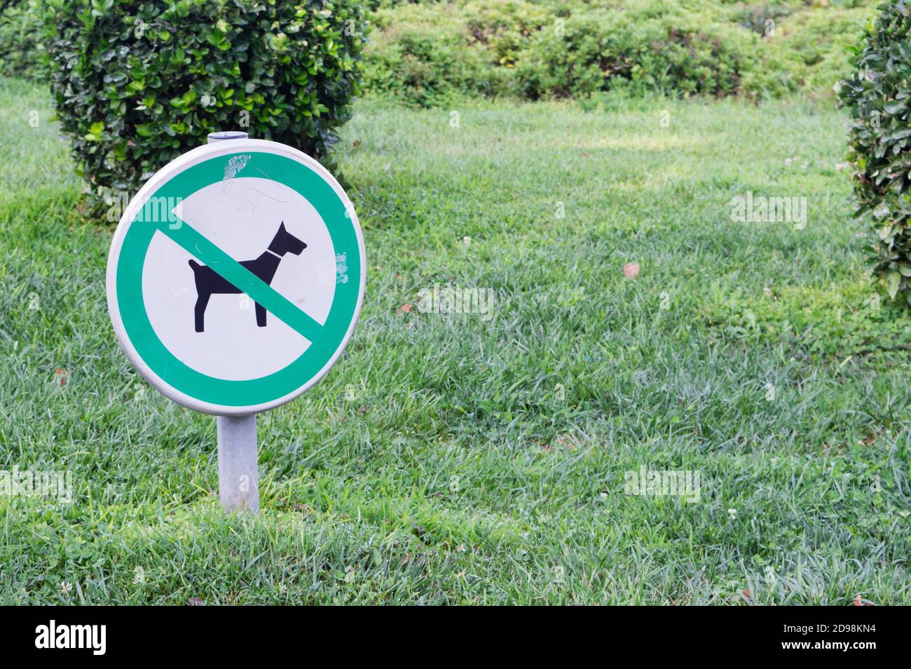 Non sono ammessi cani, cartello sulla zona verde; mantenimento del campo erboso nel parco; cartello di avvertenza rotondo Foto Stock