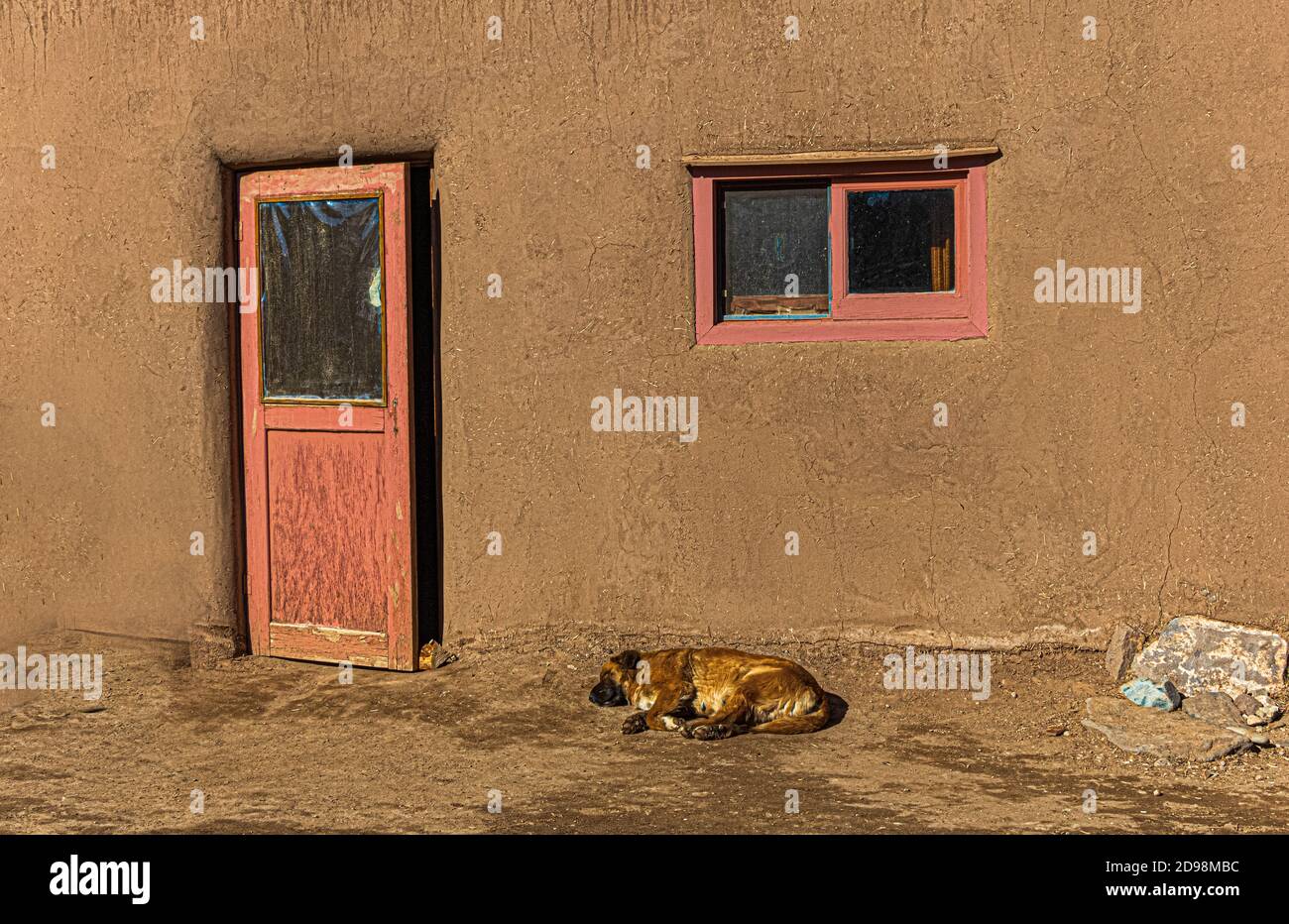 Cane che dorme vicino all'ingresso di una casa di adobe, New Mexico Foto Stock