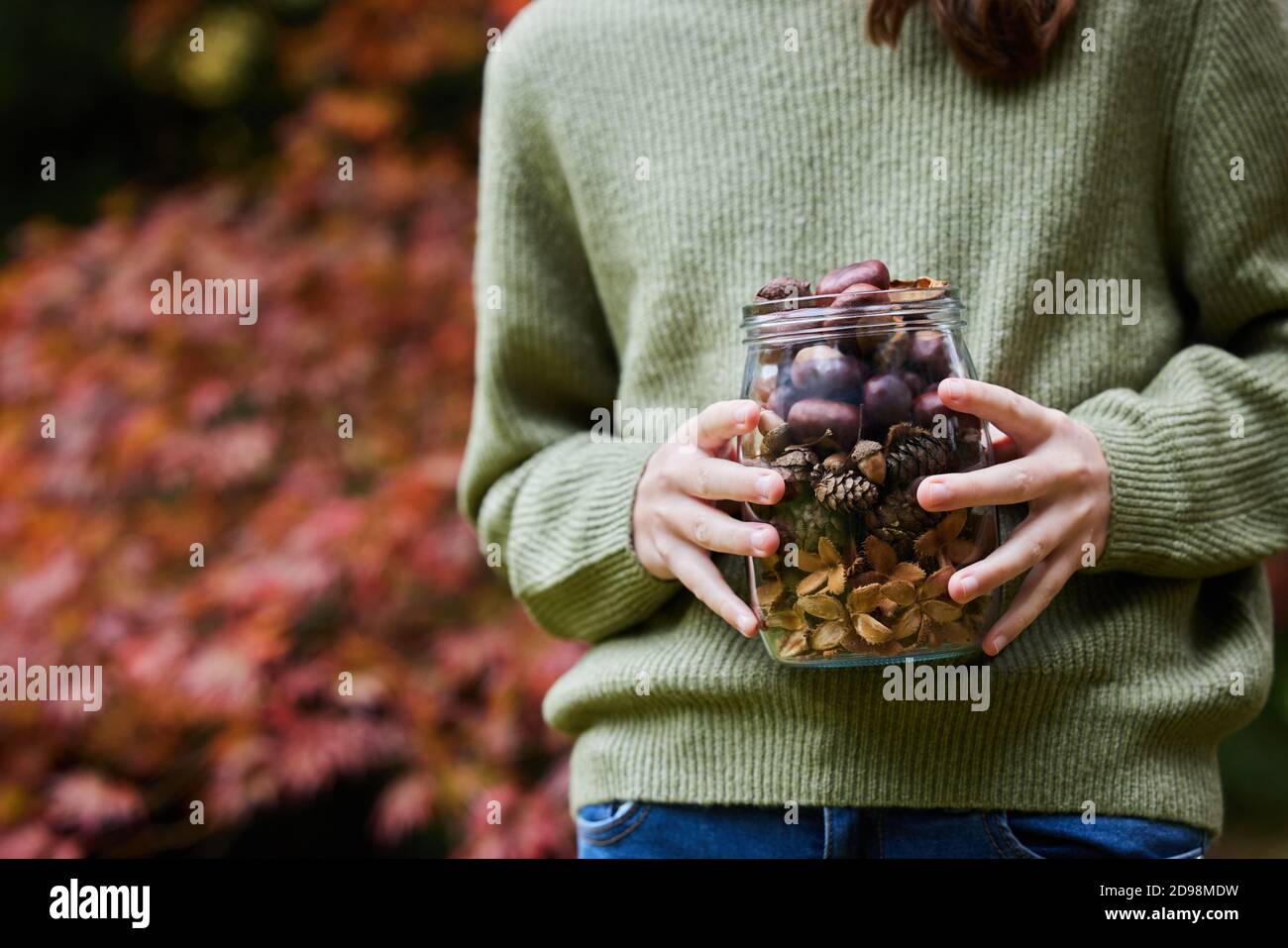 Primo piano di Girl Outdoors vasetto di pino d'autunno Coni con corna Conker e custodie per noci di faggio Foto Stock