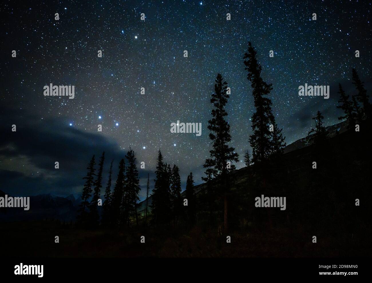 Cielo notturno con la costellazione di stelle Big Dipper con il silhouette di pini e pendii di montagna Foto Stock