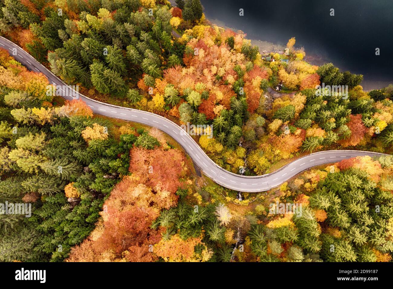 Vista aerea della fitta foresta e del lago in autunno. Strada solitaria senza auto per un viaggio perfetto nella natura selvaggia. Foto Stock