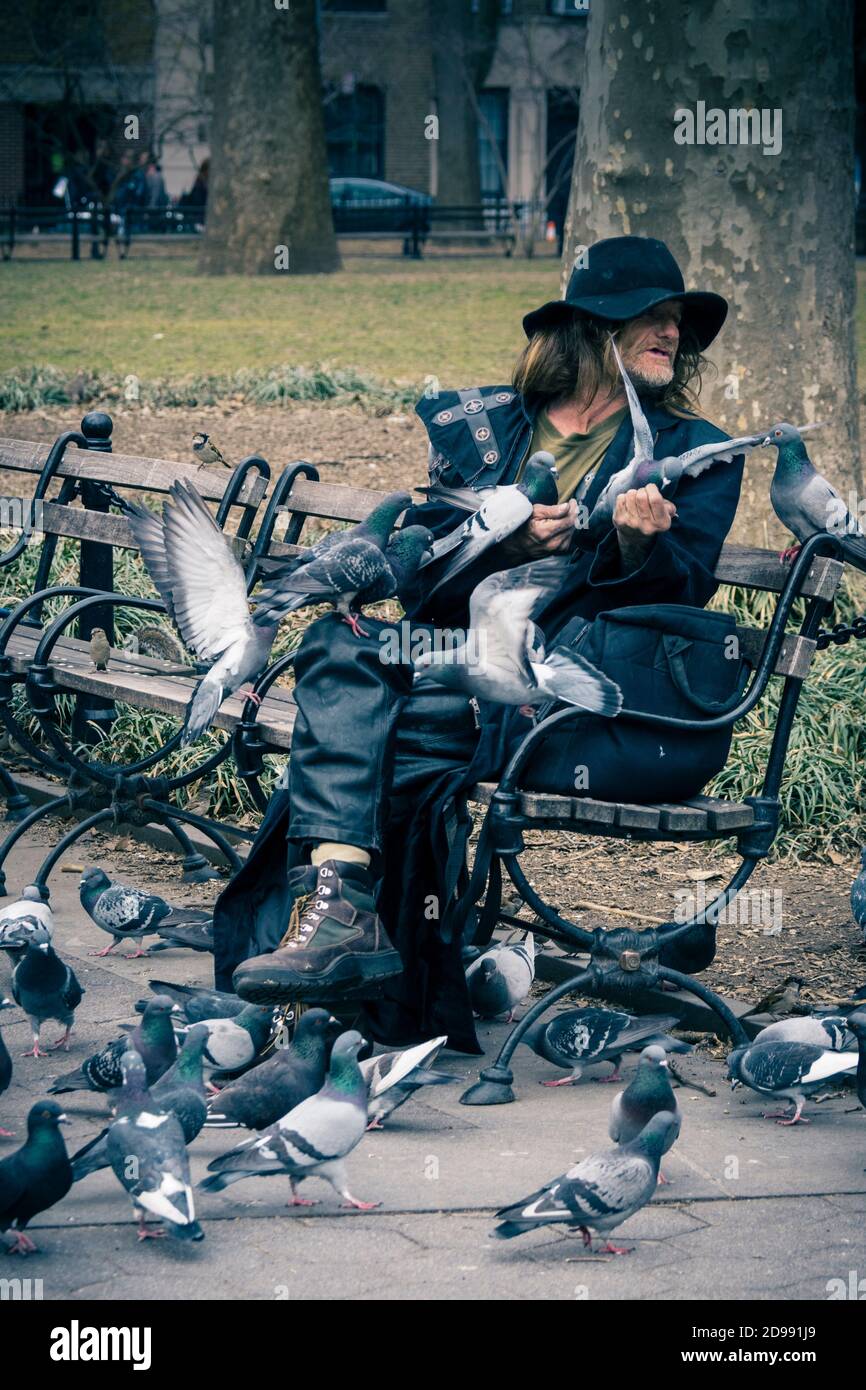 Larry Reddick, conosciuto come Larry the Birdman, che alimenta un gregge di piccioni nel Washington Square Park, Greenwich Village, New York City, USA Foto Stock