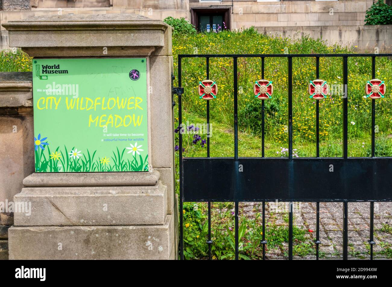 City Wildflower Meadow di fronte al World Museum di Liverpool. Foto Stock