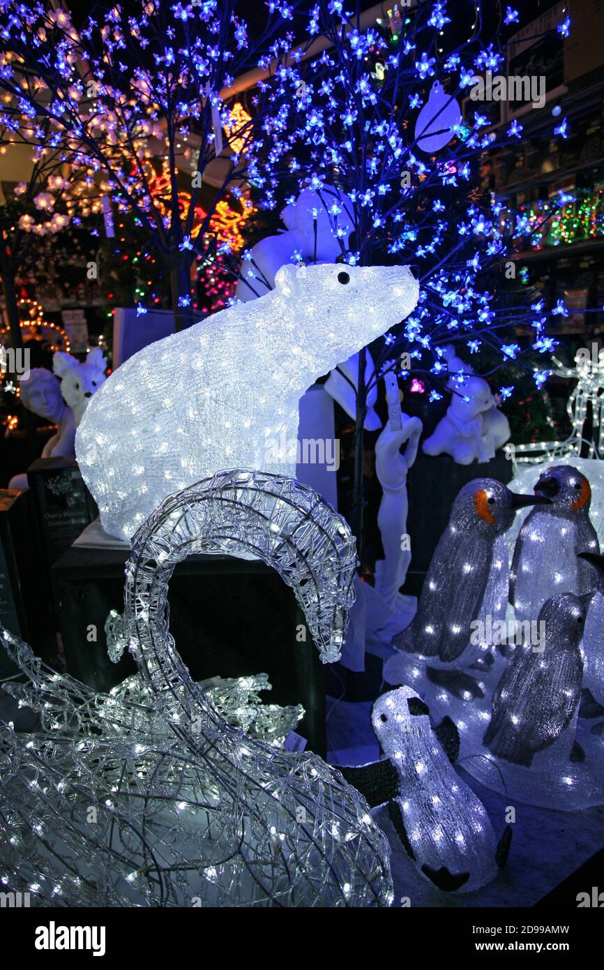 Decorazioni natalizie, con una scena di animali illuminata del Polo Nord e un pezzo centrale dell'orso polare, luci di Natale blu e oro. ©PRWFotografia Foto Stock