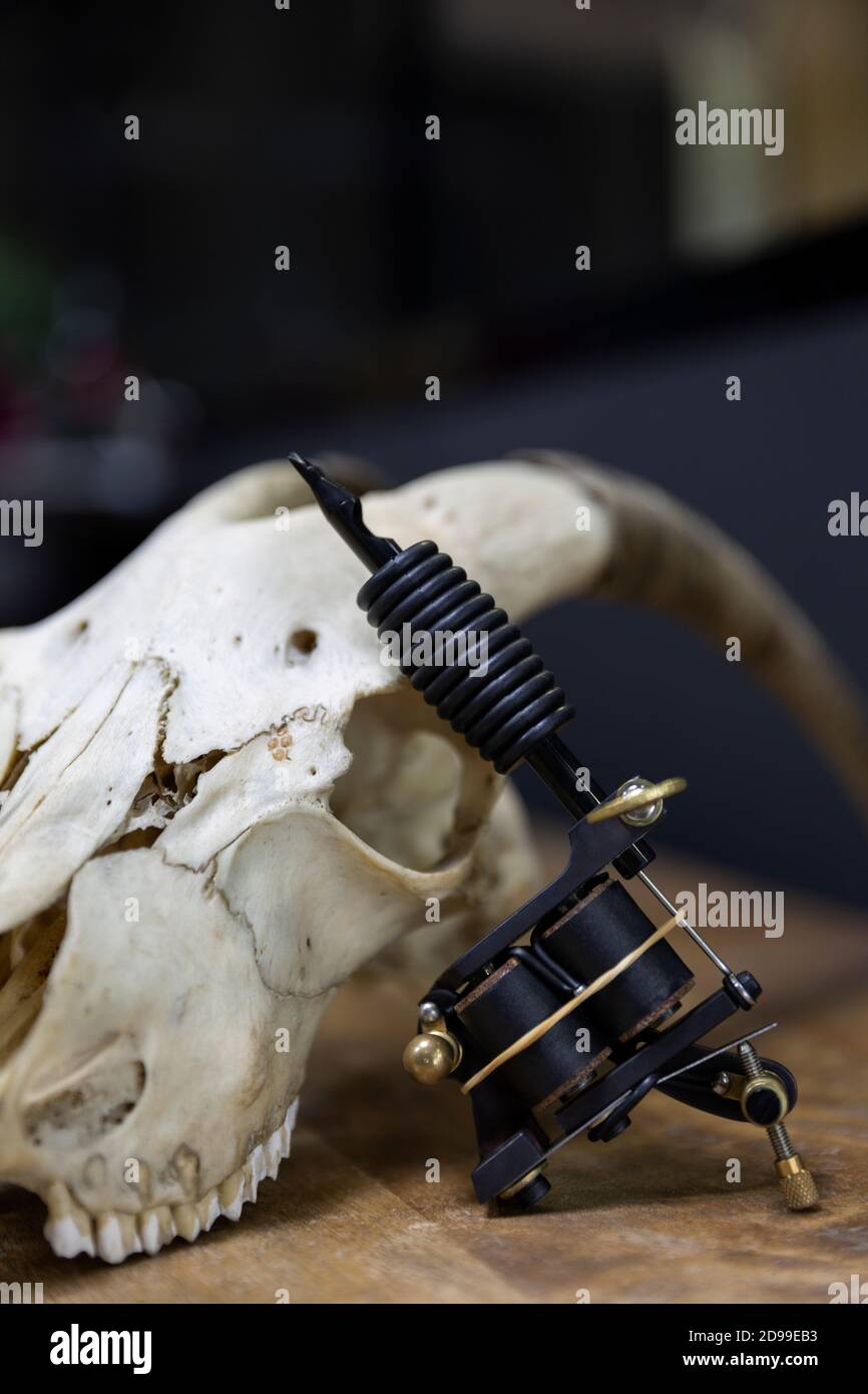 Dettaglio macchina tatuaggio supportata su cranio di capra in studio tatuaggio. Spazio per il testo. Foto Stock