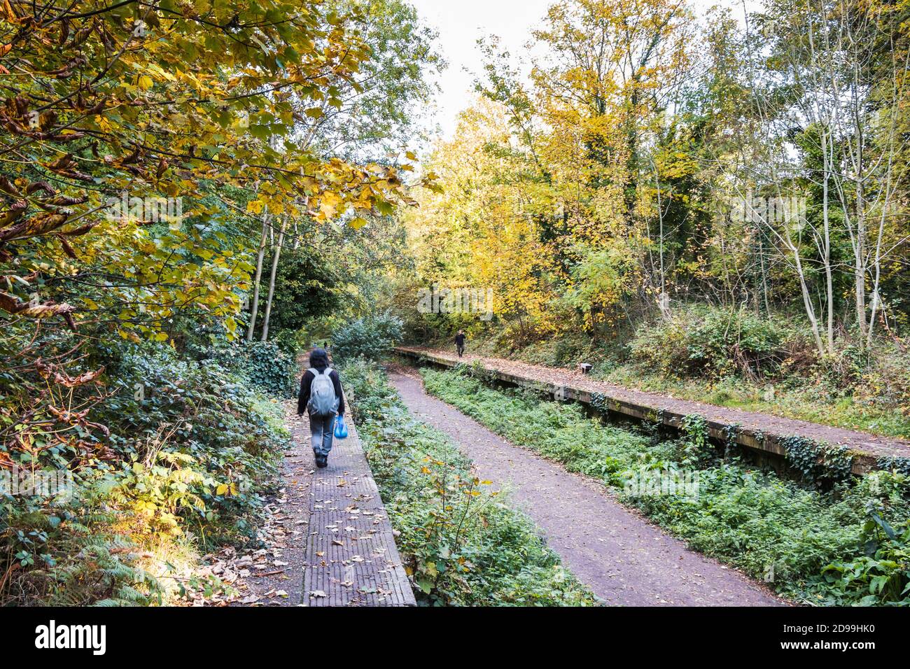 Parkland Walk, una linea ferroviaria in disuso nel nord di Londra, ora un percorso naturalistico popolare tra escursionisti e ciclisti, Londra, Regno Unito Foto Stock