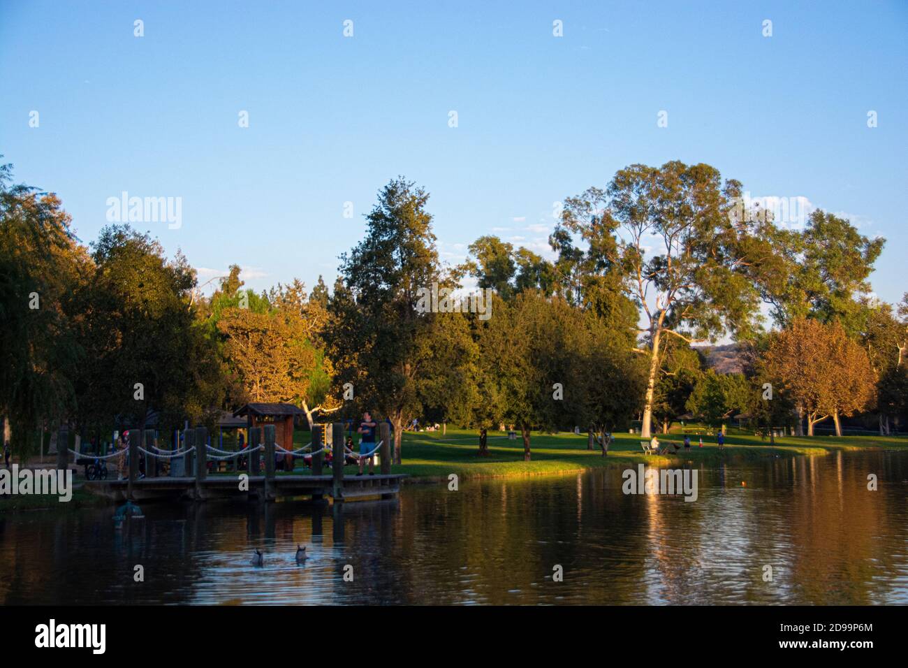 Un lago presso il Brea Canyon Regional Park, Brea, California, USA. Foto Stock