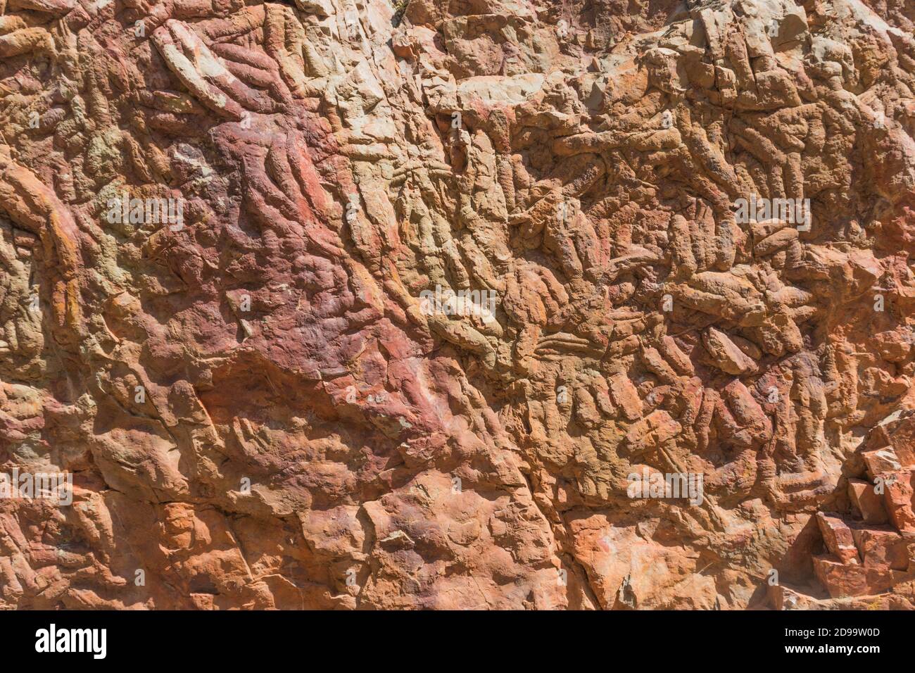 Traccia di trilobiti fossilizzati nella pietra, sfondi e texture di colore rolizo Foto Stock