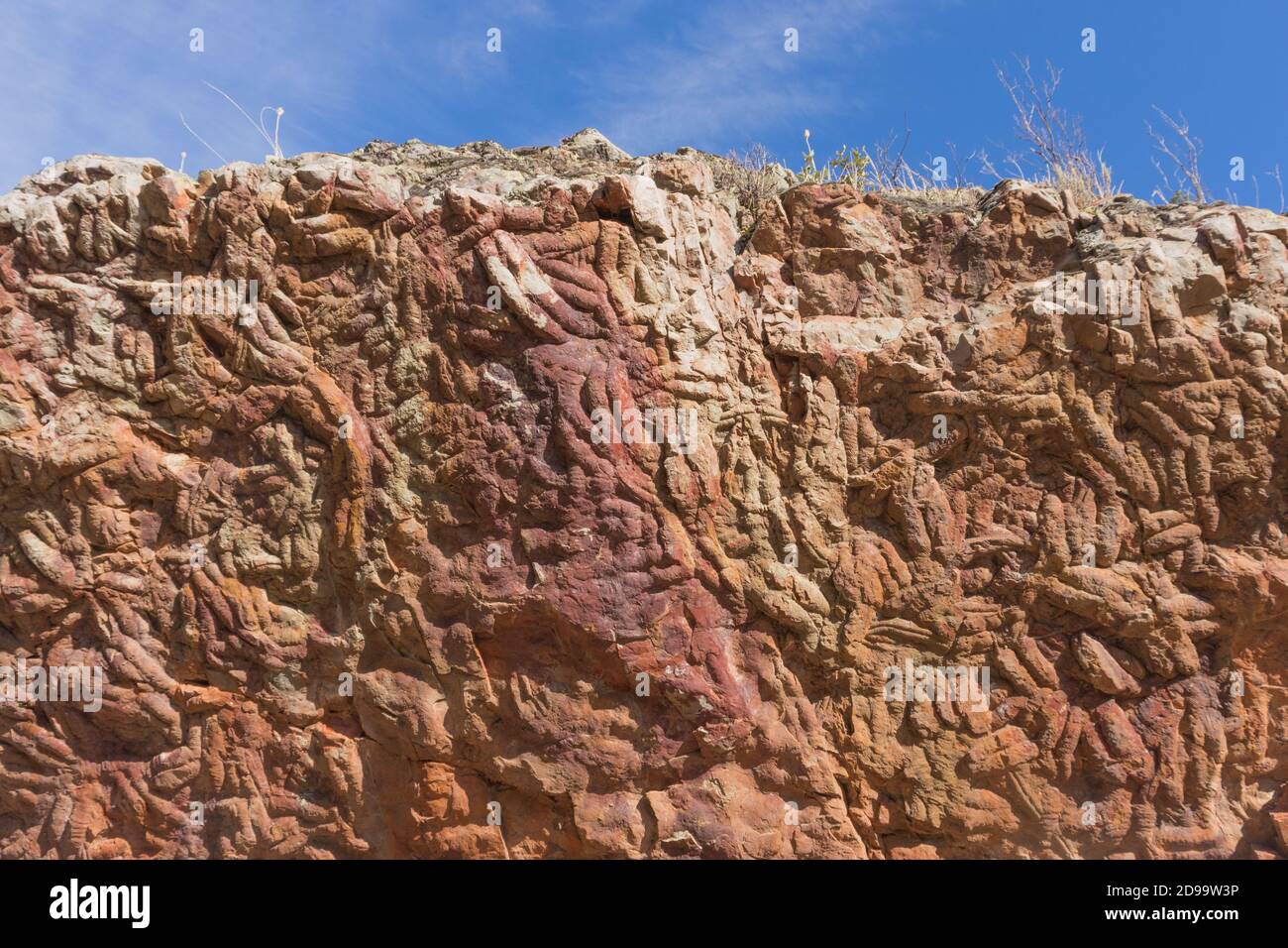 Sentiero trilobito fossilizzato in pietra con cielo blu sopra, sfondi e texture Foto Stock