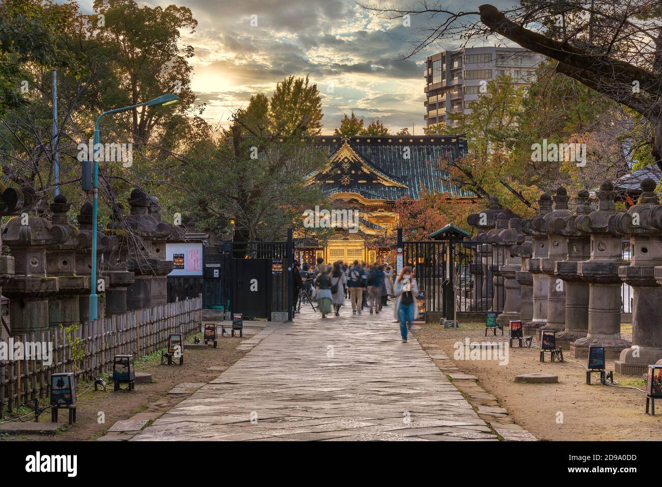 tokyo, giappone - novembre 10 2019: Lanterne di pietra lungo il percorso che conduce alle lamine d'oro coperto Ueno gū-Tōshō santuario classificato come importante pr culturale Foto Stock