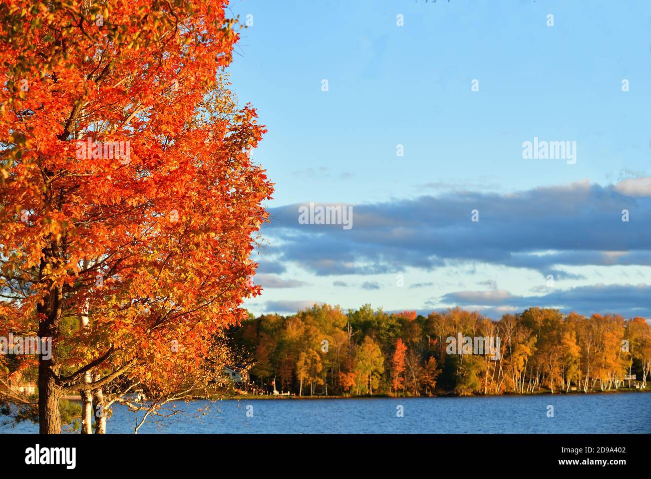 Trout Lake, Michigan, Stati Uniti. Autunno e il sole nel tardo pomeriggio scende sugli alberi lungo una costa al lago Trout nella penisola superiore del Michigan. Foto Stock