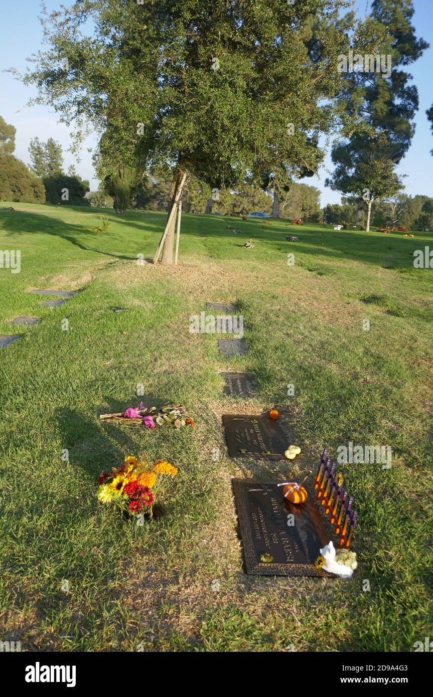 Los Angeles, California, USA 3 novembre 2020 una visione generale dell'atmosfera della tomba dell'attrice Judith Barsi e della madre Maria Virovacz Barsi's grave al Forest Lawn Hollywood Hills Memorial Park il 3 novembre 2020 a Los Angeles, California, USA. Foto di Barry King/Alamy Stock foto Foto Stock