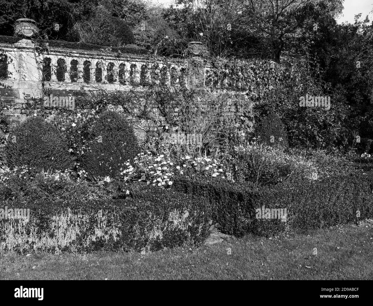 Paesaggio bianco e nero di Country House Gardens, senza tempo, Enfield House Gardens, Enfield, Thale, Berkshire, Inghilterra, Regno Unito, GB. Foto Stock
