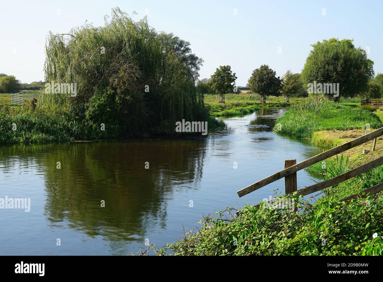 Il fiume Ivel vicino al mulino a Langford, Bedfordshire Foto Stock