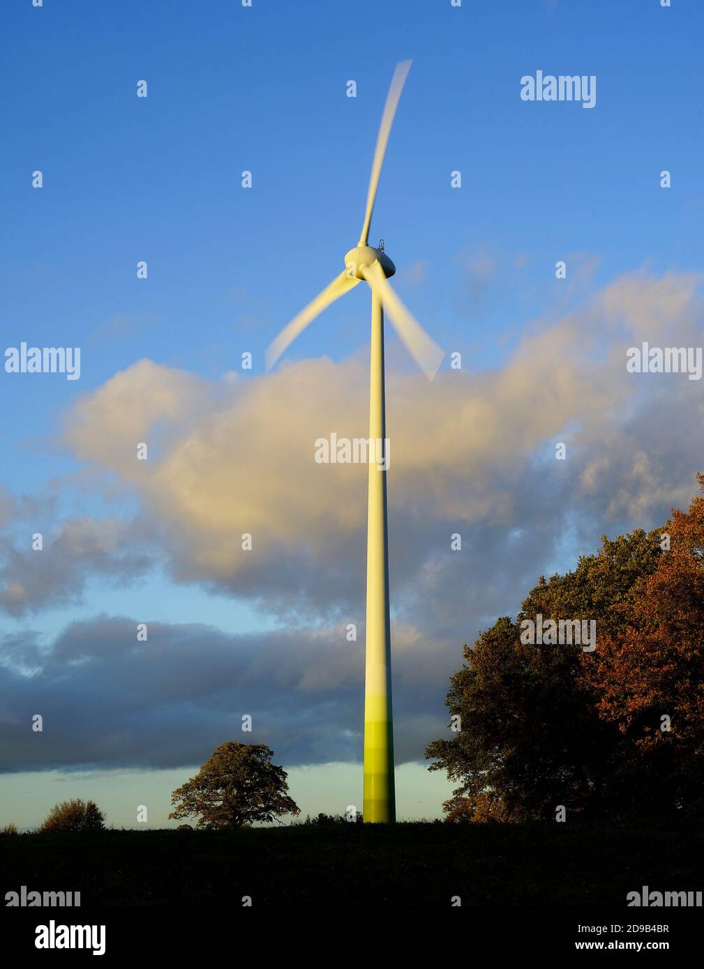 Turbina eolica presso la sede centrale della RSPB a Sandy Heath Foto Stock
