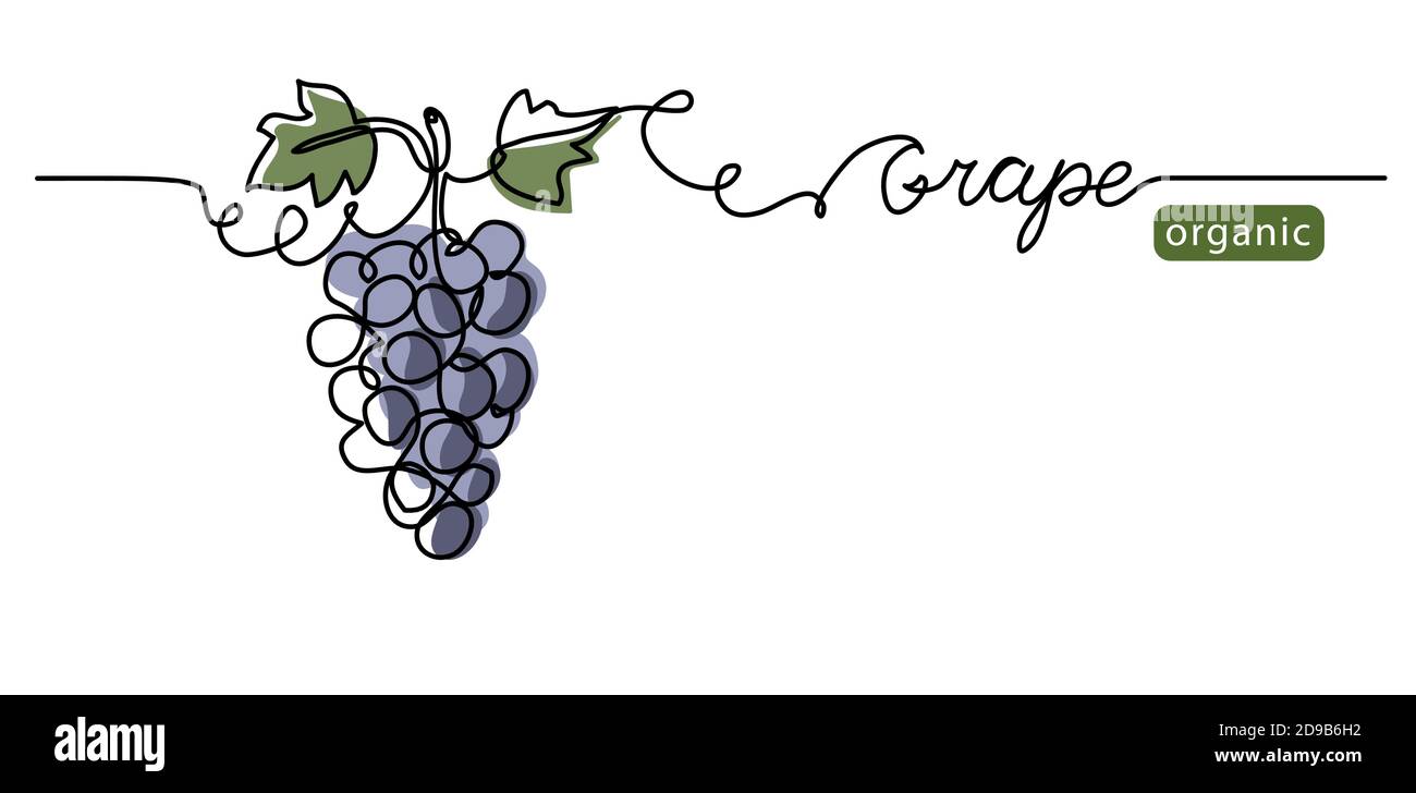 Illustrazione del vettore del grappolo d'uva. Un disegno a linea continua con una scritta di uva organica Illustrazione Vettoriale