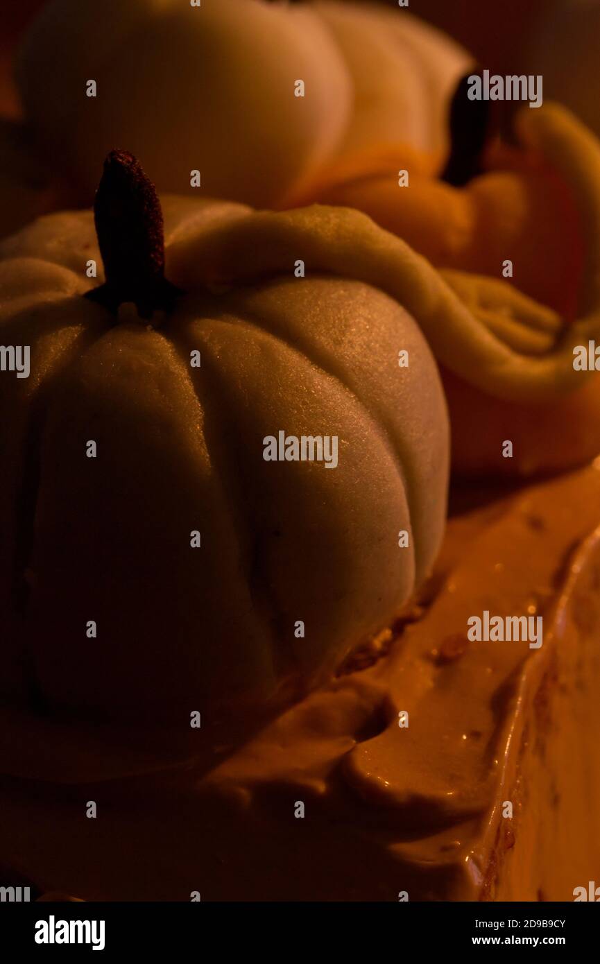 Lussuosa zucca piccante e torta al caffè Foto Stock