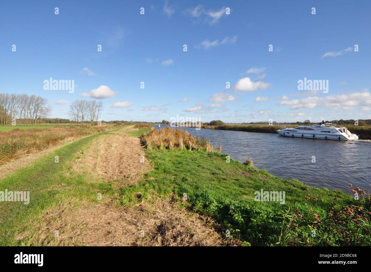 Il fiume Thurne, guardando a nord verso Ludham e Womack Water, Norfolk Broads, Inghilterra, Regno Unito. Foto Stock