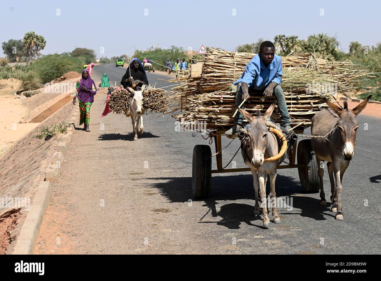 NIGER, villaggio Namaro, trasporto rurale, la gente va al mercato da carrello asino / Dorf Namaro, trasporto zum Markt Foto Stock