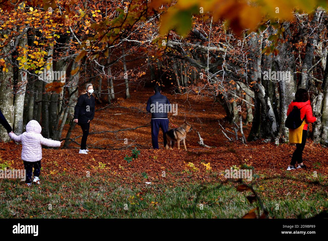 Escursionisti di un giorno nella faggeta secolare di Canfato in autunno. La foresta si trova nella Riserva Naturale del Monte San Vicino e Canfato, nelle Marche ce Foto Stock