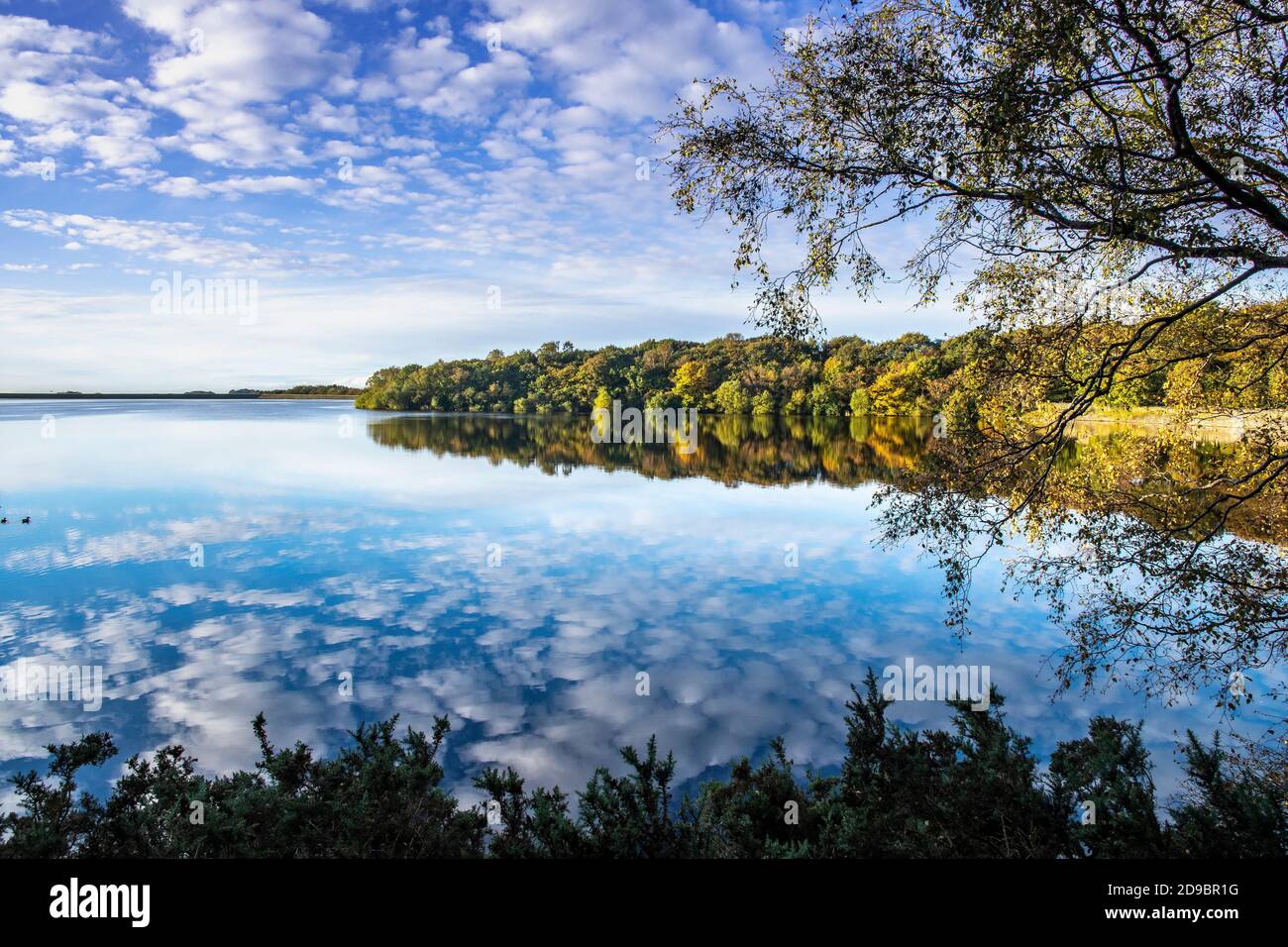 Yarrow Reservoir Anglezarke Rivington Lancashire UK che riflette le foglie dell'autunno e. cotton wool nuvole nel sunshire di mattina presto Foto Stock