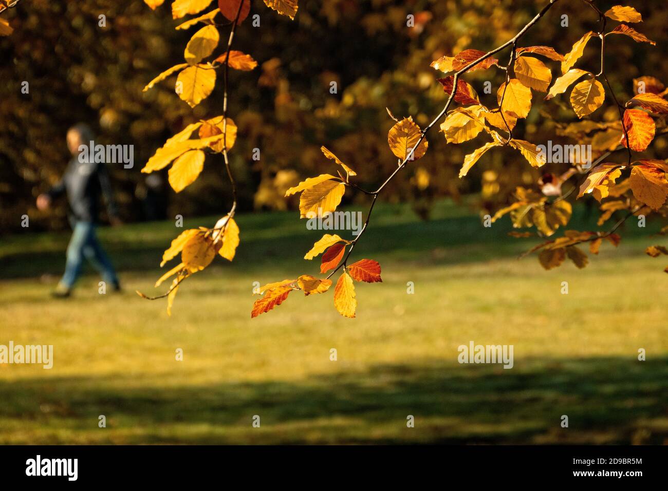 Le persone che si godono Hampstead Heath in autunno Foto Stock