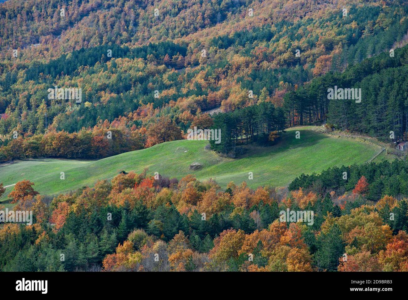 Colori autunnali nelle montagne del Casentino, Toscana. Paesaggio fogliame. Foto Stock