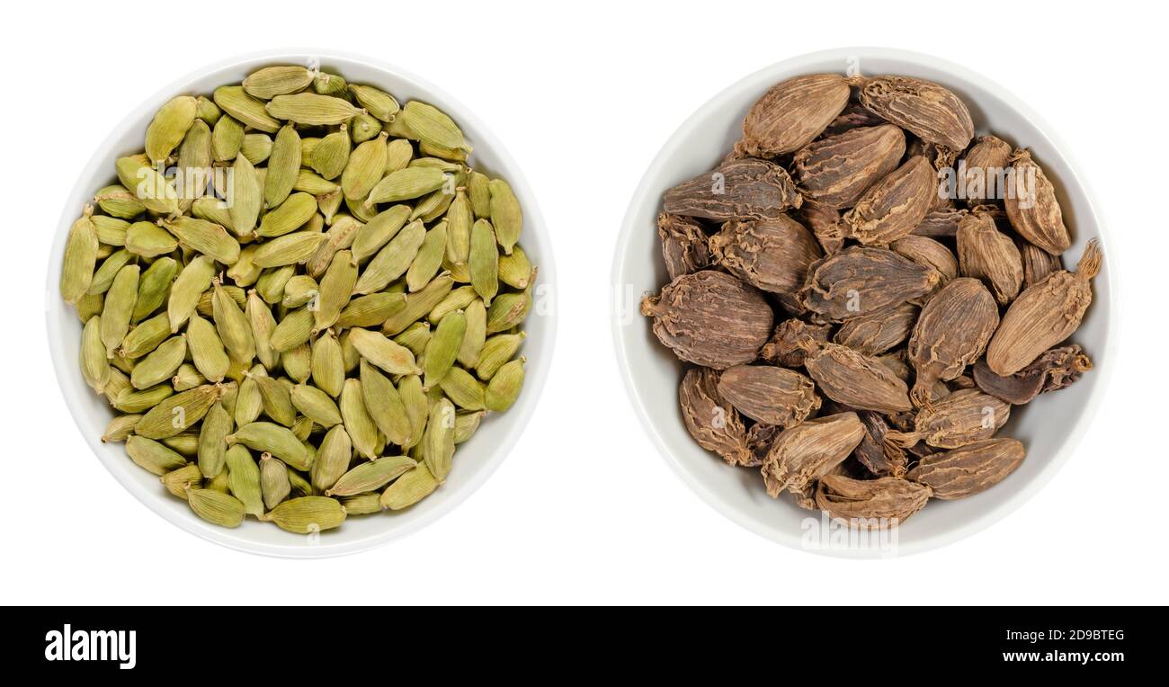 Cardamomo verde e nero in ciotole bianche. Frutti e semi trasformati di Elettaria cardamomum e Amomum subulatum, entrambi utilizzati come spezie. Foto Stock