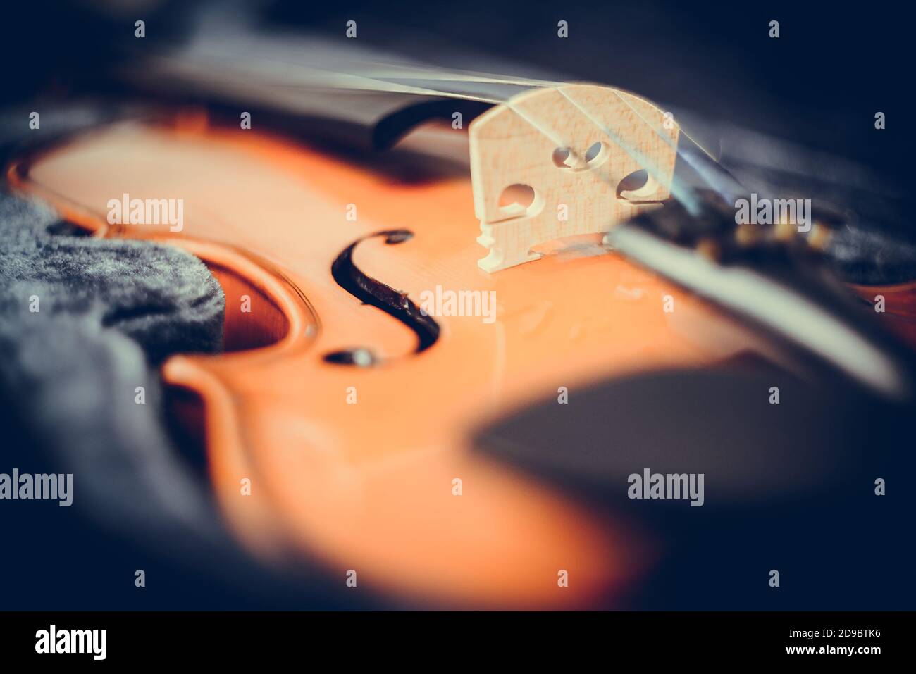 Primo piano violino di legno marrone che giace nella custodia. Strumento musicale tradizionale. Foto Stock