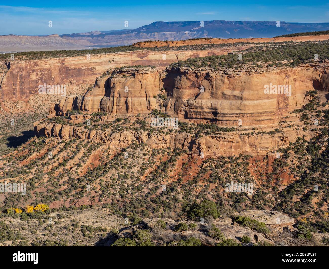 Vista delle pareti del canyon da Artist's Point, Rim Rock Drive, Colorado National Monument vicino a Grand Junction, Colorado. Foto Stock