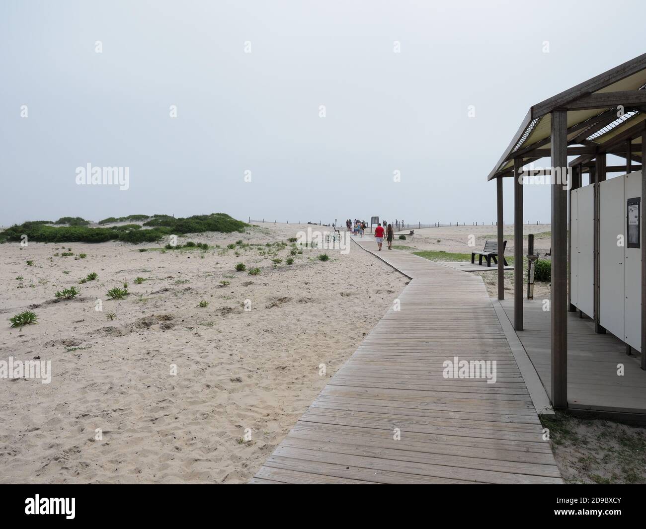Assateague Island National Seashore Foto Stock