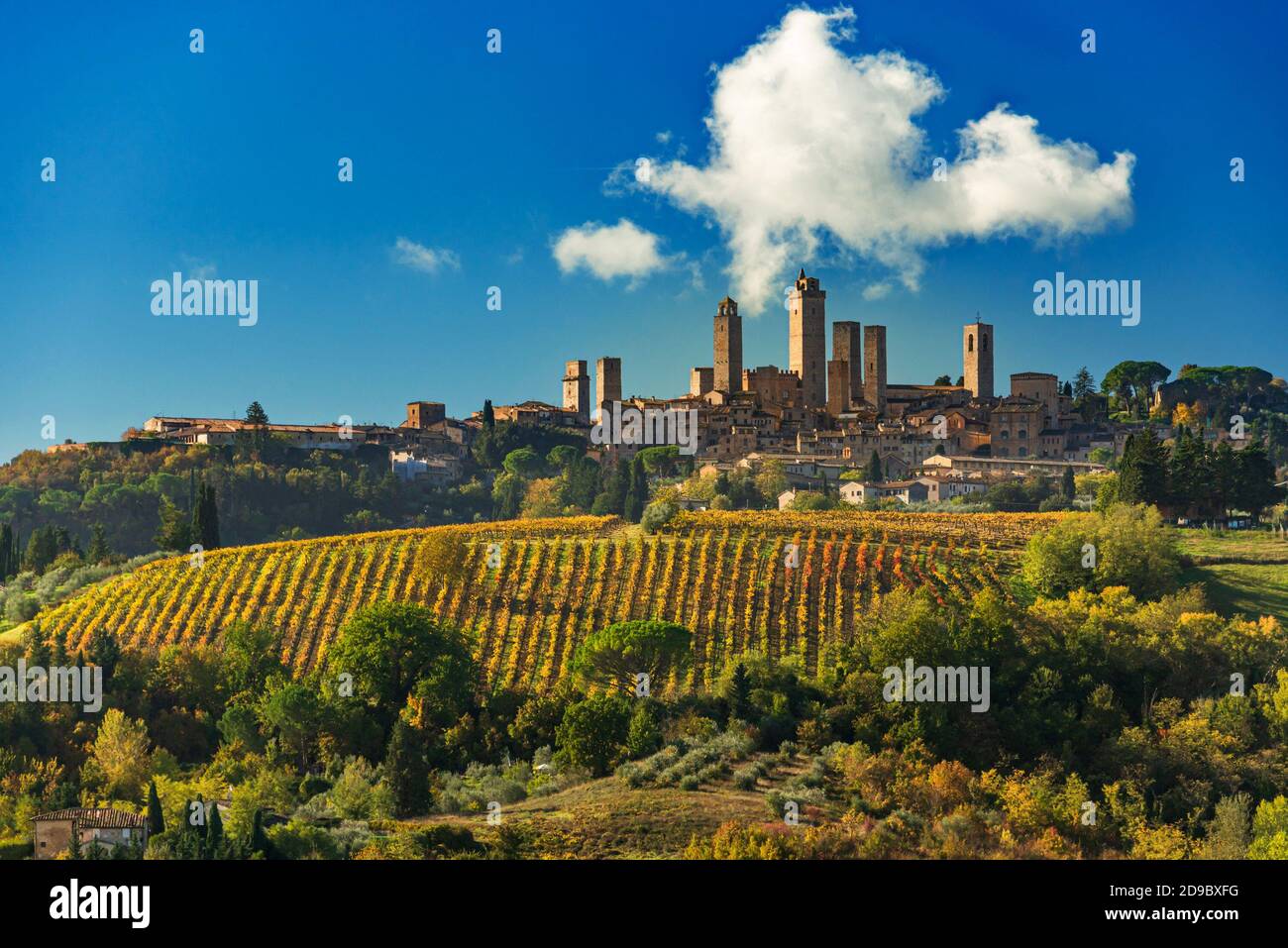 Le torri di San Gimignano si ergono alte sopra un autunno vigneto con una nuvola soffusosa che galleggia nel cielo blu Foto Stock