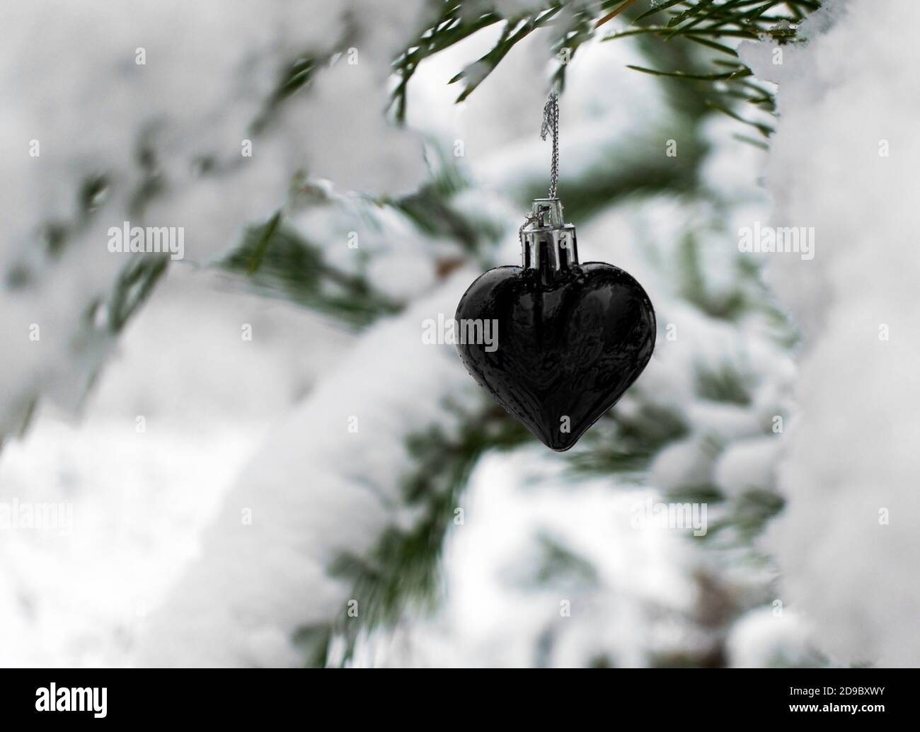 Sfondo di Natale con cuore nero giocattolo albero di Natale su ramo di pino innevato nella foresta invernale con spazio di copia. Festa di Capodanno, Natale cel Foto Stock