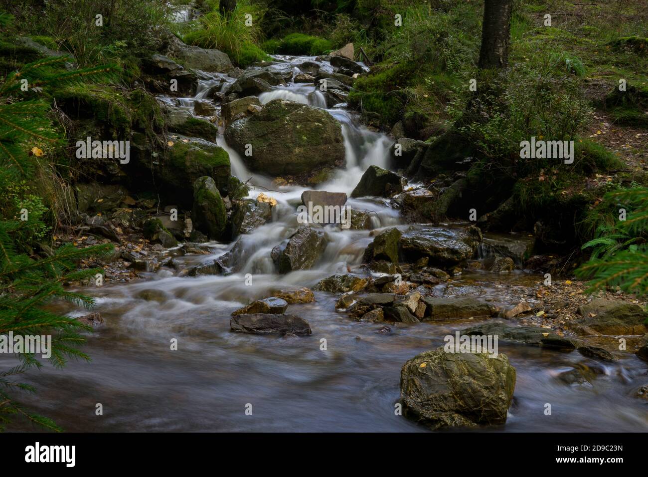Il torrente SideARM fino alla Cascade de Bayehon in belgio Foto Stock