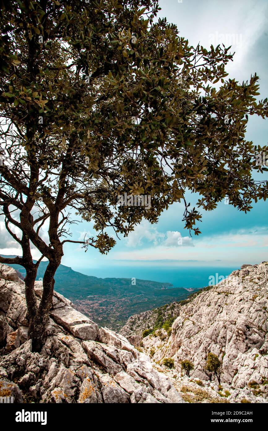 Vista sulla città di maiorca Sóller da Serra de Tramuntana, Mallorca Foto Stock