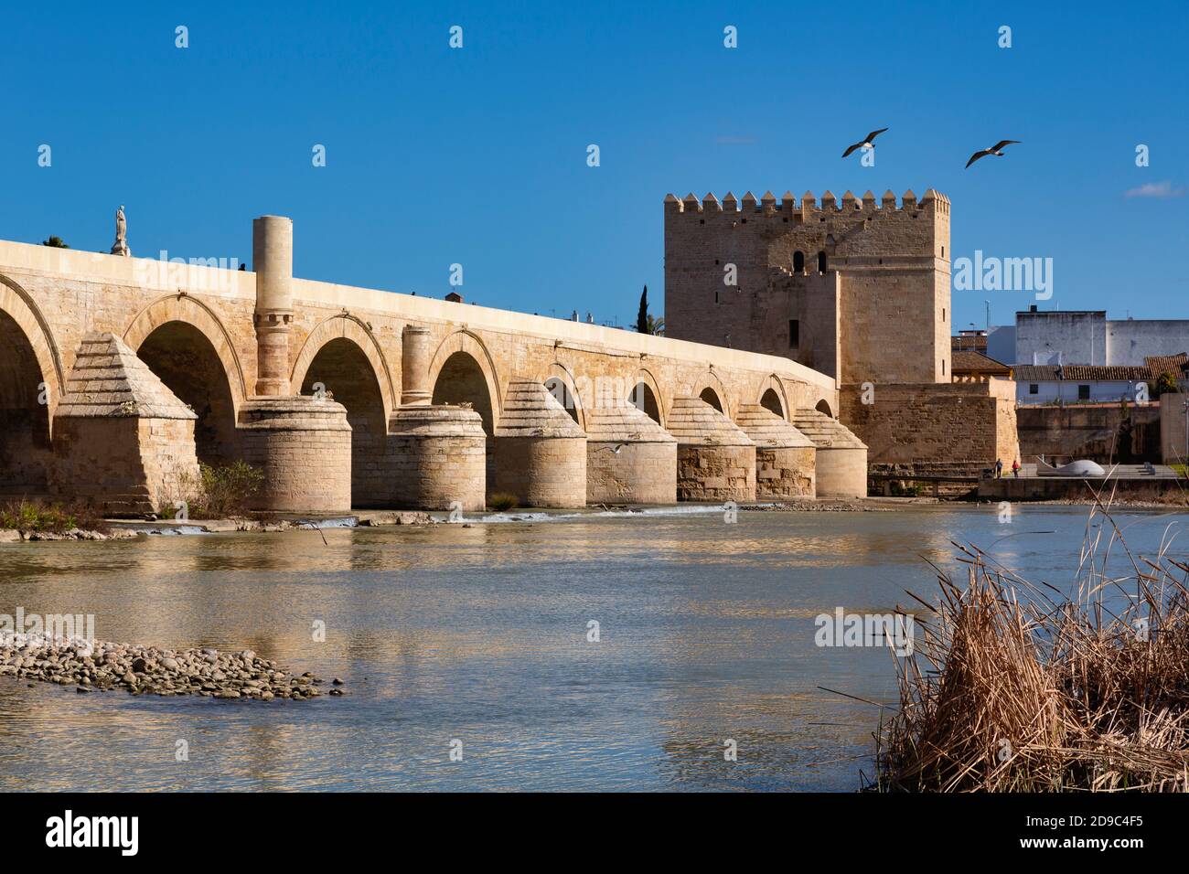 Il ponte romano sul fiume Guadalquivir. Le origini del ponte risalgono al i secolo a.C., a Cordova romana. È stato ricostruito se Foto Stock