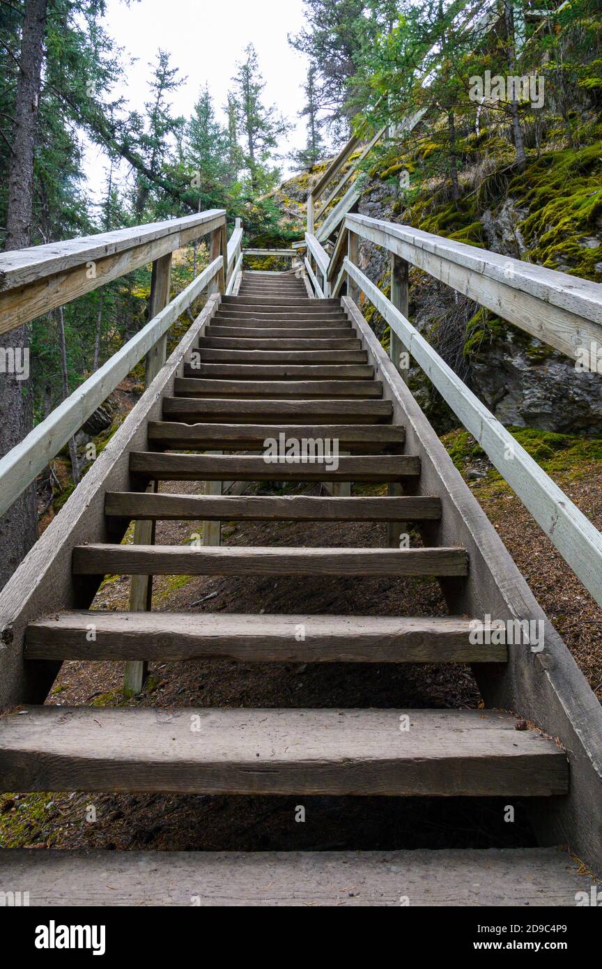 Le scale di legno del sentiero Old Fort Point nel Jasper National Park, Canada Foto Stock