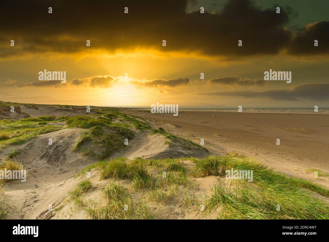 Tramonto sulla costa a bassa marea e spiaggia sabbiosa con punti bagnati e dune con erba di dune sullo sfondo di cielo blu con nuvole sparse e sole Foto Stock