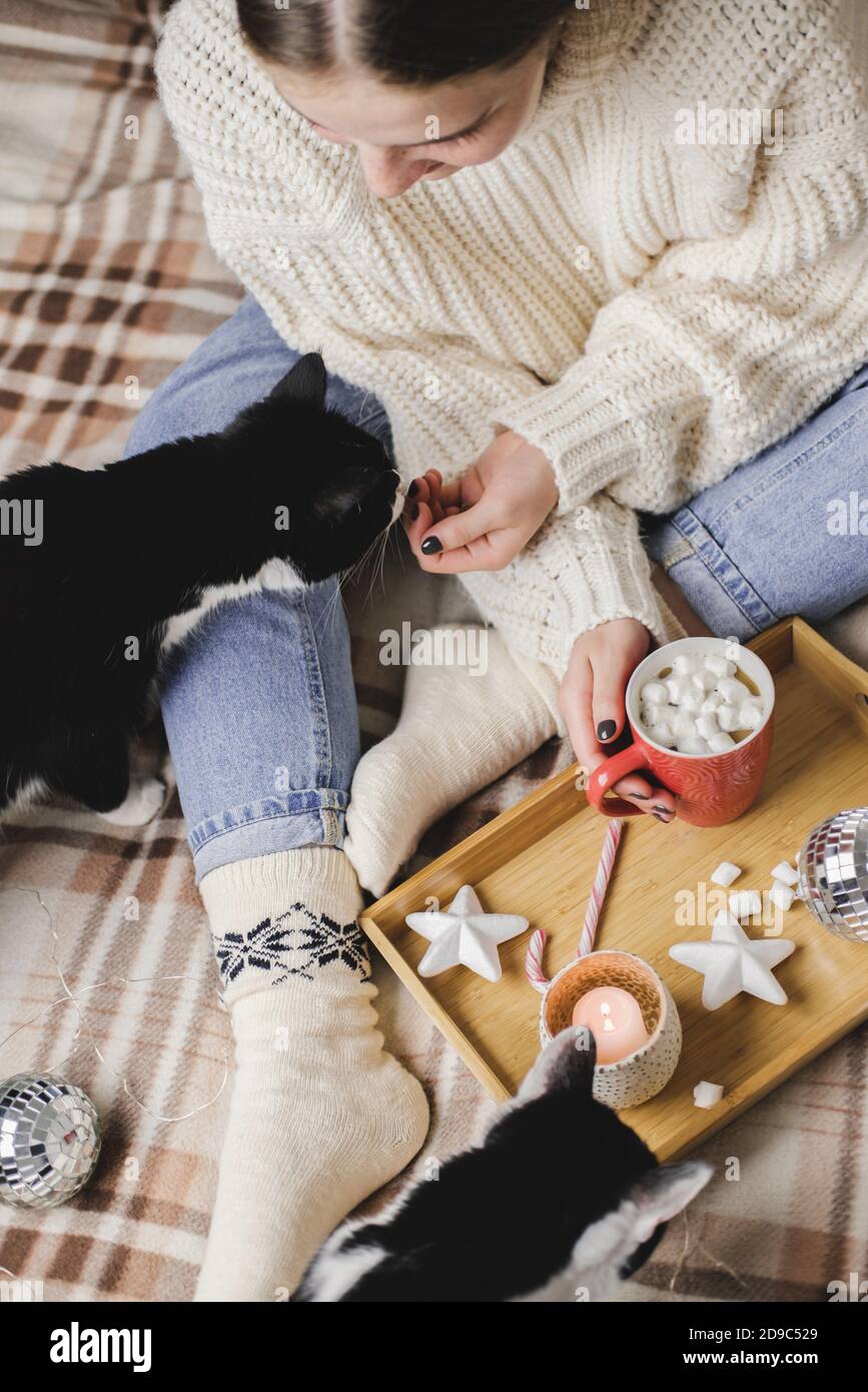 La giovane donna si siede sulla plaid in un comodo pullover lavorato a maglia di lana con due gatti di tuxedo e tiene la tazza di marshmallows di cacao. Higge anno nuovo, Natale, preparazione Foto Stock