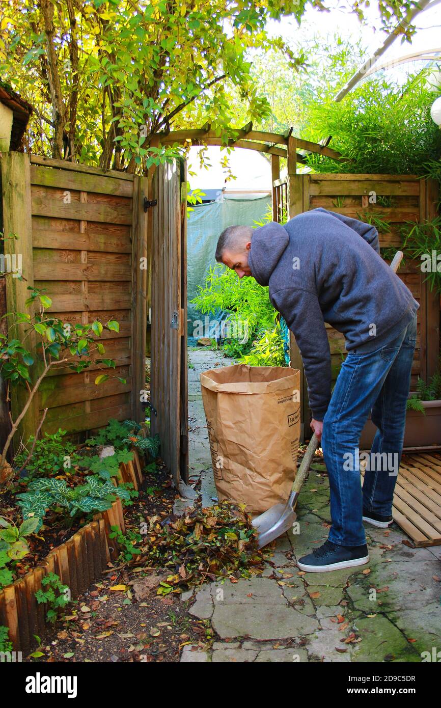 Uomo che si prende cura del suo giardino raccogliendo foglie morte con una pala e una scopa. Preparare l'arrivo dell'inverno con fogliame composto. Foto Stock